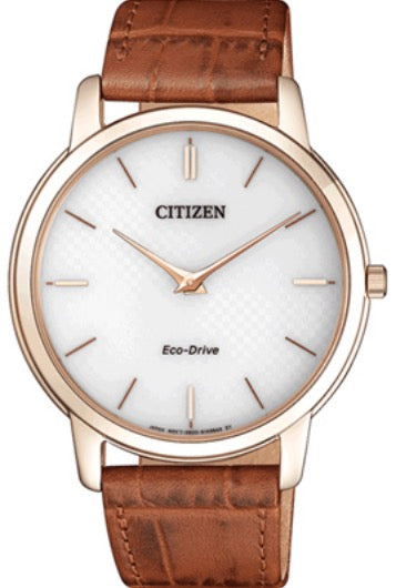 CITIZEN WATCHES Mod. AR1133-15A