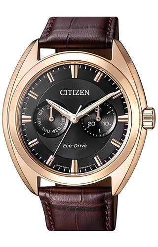 Citizen Mod. Style