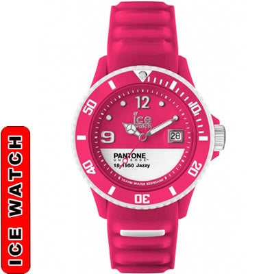 ICE WATCH Mod. PAN-BC-JAZ-U-S-13
