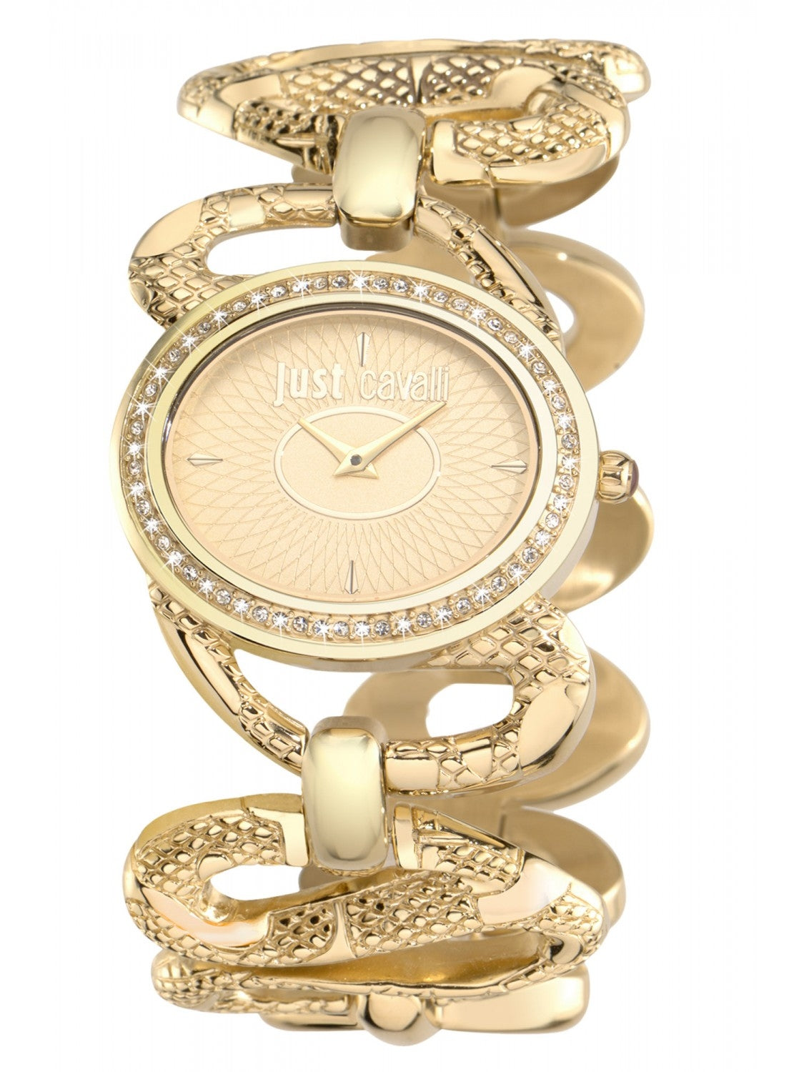 JUST CAVALLI Mod. R7253577501